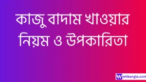 Read more about the article কাজু বাদাম খাওয়ার নিয়ম ও উপকারিতা